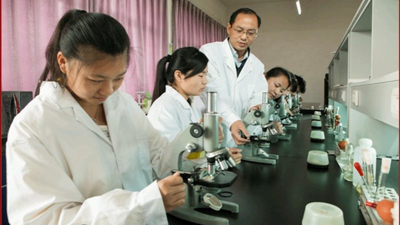医药中间体生产步骤规范解析