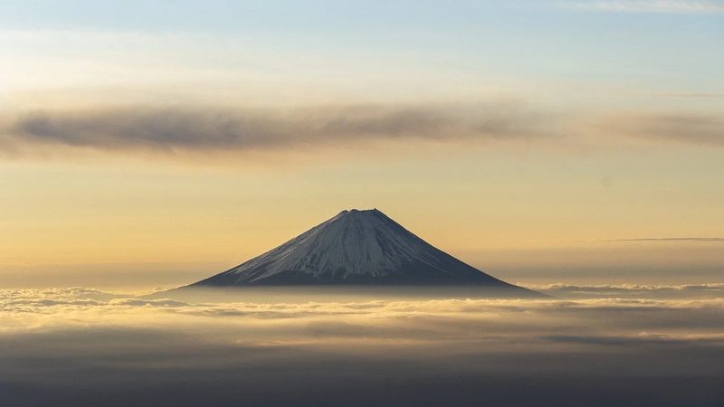 保健品代加工出口的质量标准要求严格，以下是一些关键点：