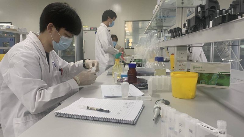 上海药用辅料代理条件：合规与质量的保障**