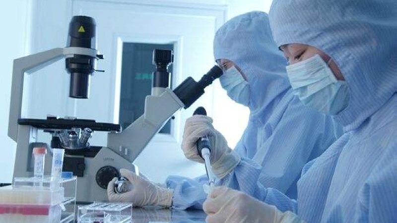 原料药报价单审核流程：确保品质与合规的关键步骤