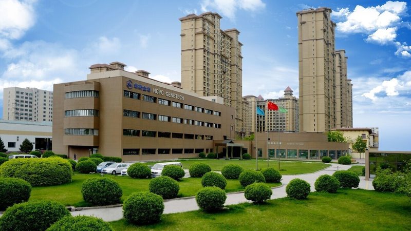 空心胶囊重金属检测流程揭秘：保障用药安全的关键环节
